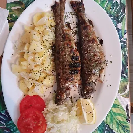 Izletiste Bistrovo Inn